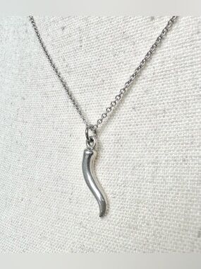 🤍Sterling Silver Chili Pepper Pendant Necklace